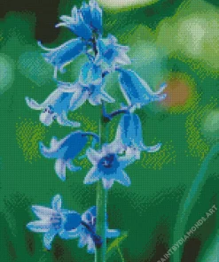 Bluebells Plants Diamond Painting