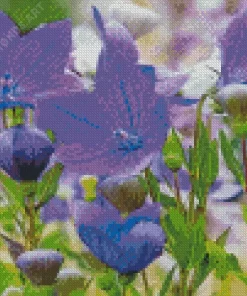 Platycodon Grandiflorus Diamond Painting