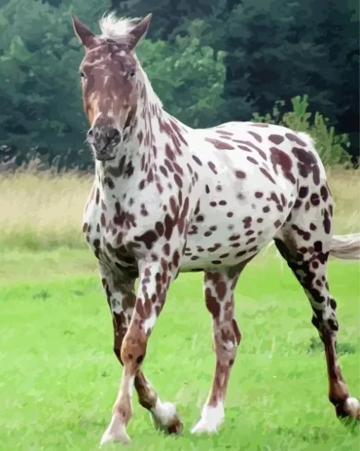 Appaloosa Leopard Diamond Painting