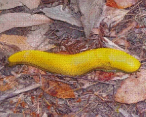 Banana Slug Diamond Painting