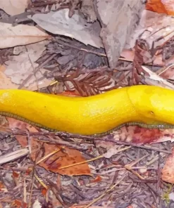 Banana Slug Diamond Painting