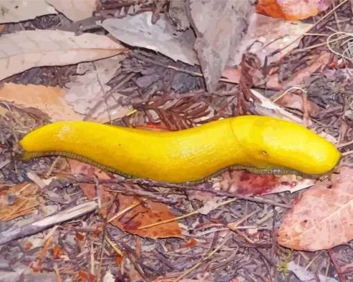 Banana Slug Diamond Painting