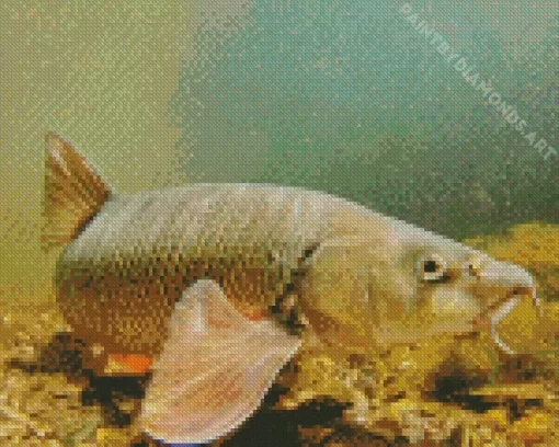 Barbel Fish Diamond Painting