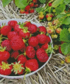 Basket Of Strawberries Diamond Painting