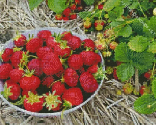 Basket Of Strawberries Diamond Painting