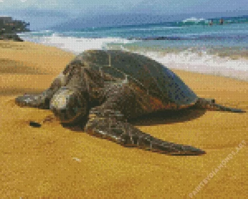 Beach With Turtle Diamond Painting