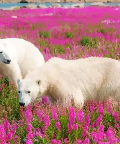 Bears And Flowers Diamond Painting