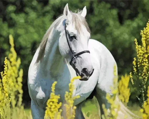 Beautiful White Stallion Diamond Painting