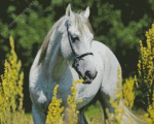 Beautiful White Stallion Diamond Painting