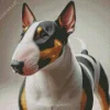 Black And Brown Bull Terrier Diamond Painting