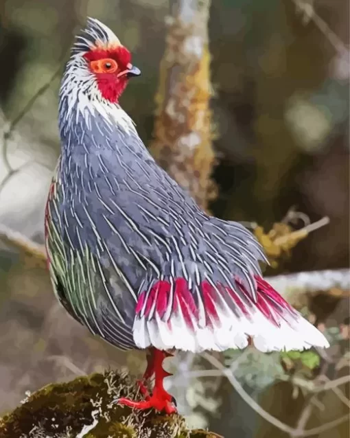 Blood Pheasant Bird Diamond Painting