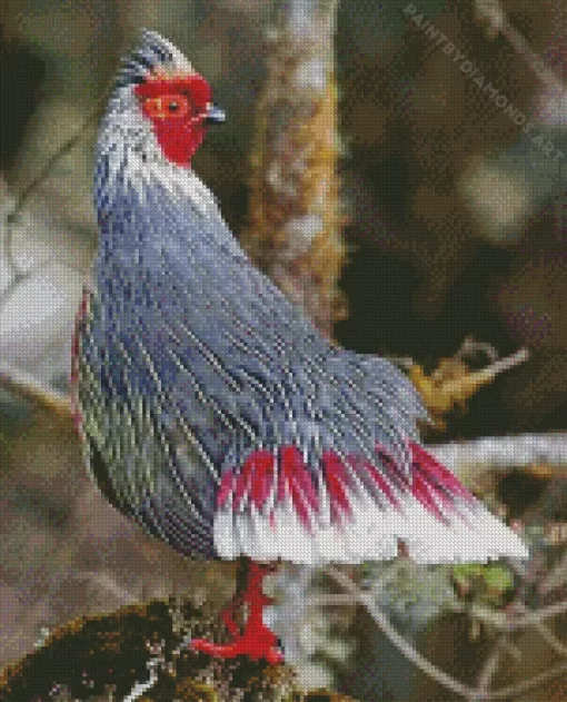 Blood Pheasant Bird Diamond Painting