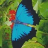 Blue And Black Butterfly On Leaves Diamond Painting