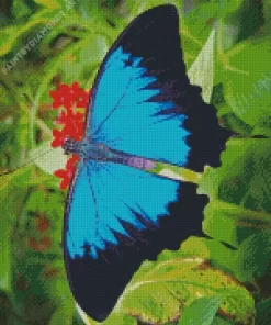 Blue And Black Butterfly On Leaves Diamond Painting