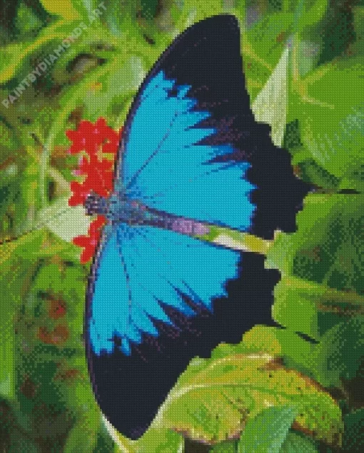 Blue And Black Butterfly On Leaves Diamond Painting