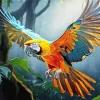 Blue And Gold Macaw Bird Diamond Painting