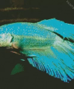 Blue And Green Betta Fish Diamond Painting