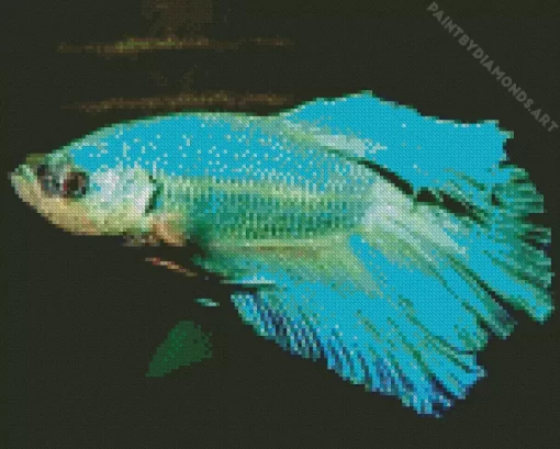 Blue And Green Betta Fish Diamond Painting