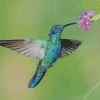 Blue And Green Hummingbird Diamond Painting