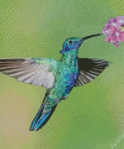 Blue And Green Hummingbird Diamond Painting