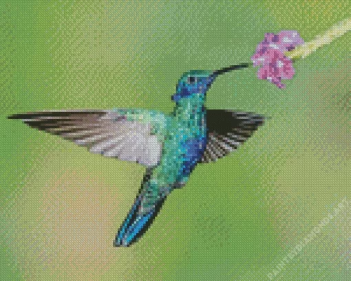 Blue And Green Hummingbird Diamond Painting