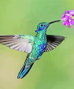 Blue And Green Hummingbird Diamond Painting