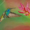 Blue And Green Hummingbird Flying Diamond Painting