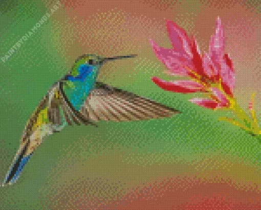 Blue And Green Hummingbird Flying Diamond Painting