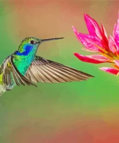 Blue And Green Hummingbird Flying Diamond Painting