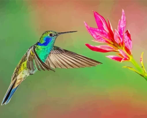 Blue And Green Hummingbird Flying Diamond Painting