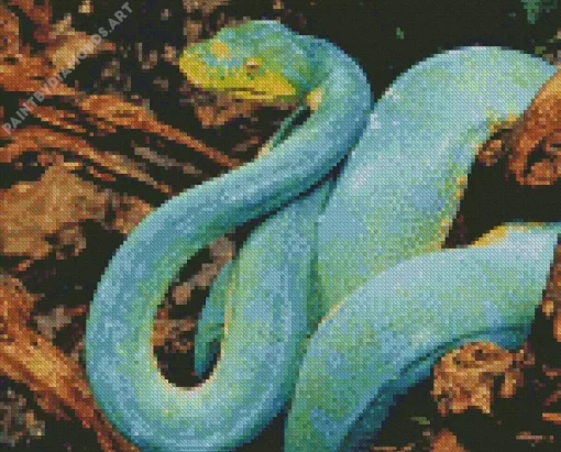 Blue And Green Pit Vipers Diamond Painting