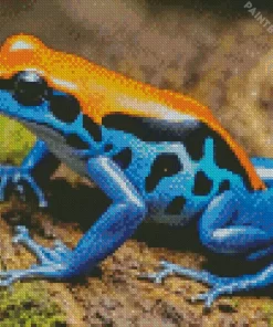 Blue And Orange Frog Diamond Painting