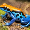 Blue And Orange Frog Diamond Painting