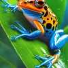 Blue And Orange Frog on Leaf Diamond Painting