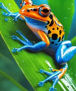 Blue And Orange Frog on Leaf Diamond Painting