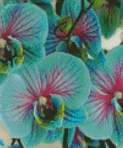 Blue And Pink Orchids Diamond Painting