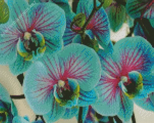 Blue And Pink Orchids Diamond Painting