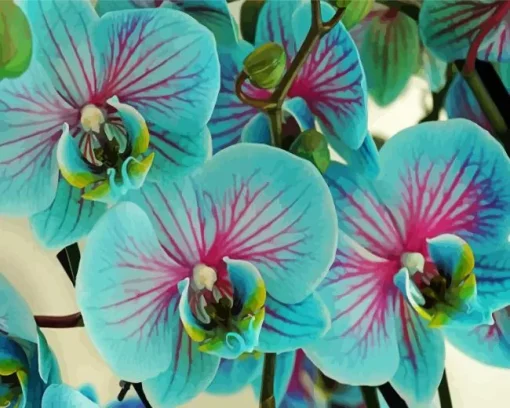 Blue And Pink Orchids Diamond Painting