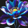 Blue And Purple Lotus Flower Diamond Painting