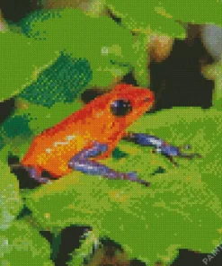 Blue And Red Frog Diamond Painting