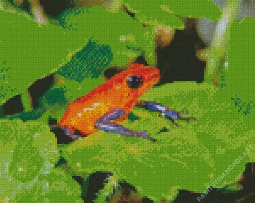 Blue And Red Frog Diamond Painting