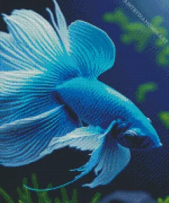 Blue Betta Fish Underwater Diamond Painting