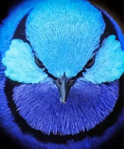 Blue Bird Face Diamond Painting