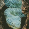 Blue Bush Snake Diamond Painting