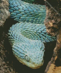 Blue Bush Snake Diamond Painting