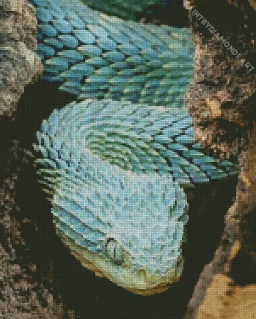 Blue Bush Snake Diamond Painting