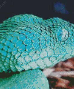 Blue Bush Viper Diamond Painting