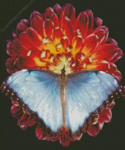 Blue Butterfly And Red Flower Diamond Painting