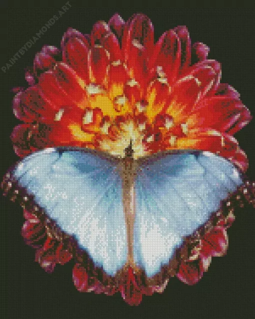 Blue Butterfly And Red Flower Diamond Painting