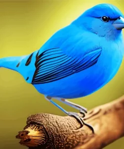 Blue Canary Bird Diamond Painting